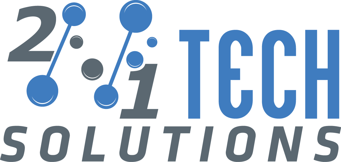 2n1 Tech Solutions Inc logo